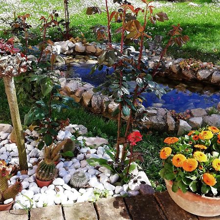La Ginestra Bed and Breakfast Sirolo Buitenkant foto