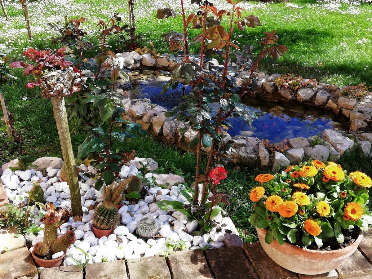 La Ginestra Bed and Breakfast Sirolo Buitenkant foto